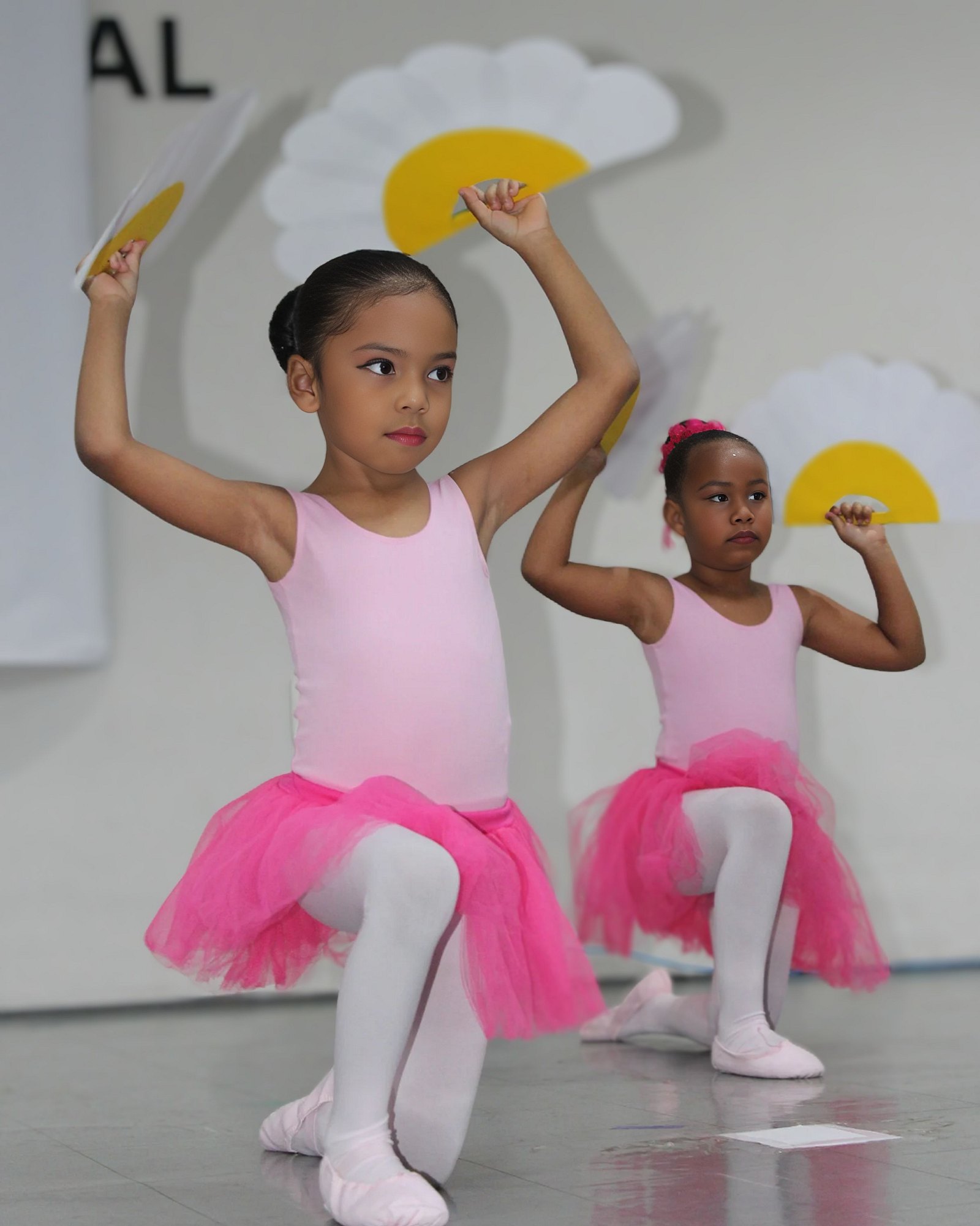 Apresentação de Ballet